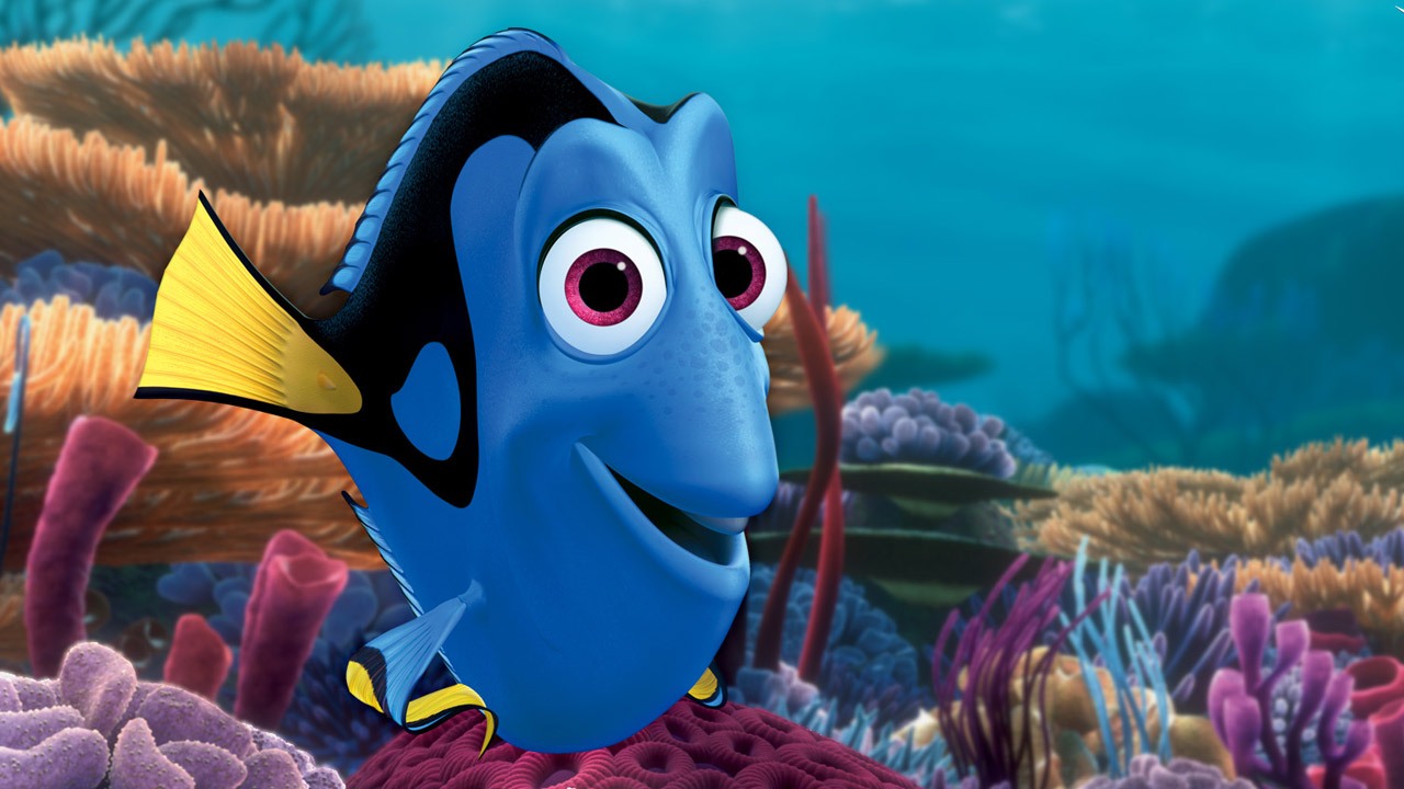 dory0809131280jpg-88257d_143879_stae