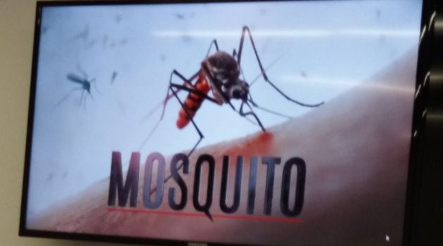 Discovery estrena ‘Mosquito’ en 220 países a la vez