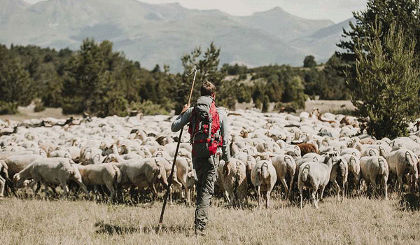 La 1 estrenará ‘Entre ovejas’ para seguir los pasos de Zacarías Fievet