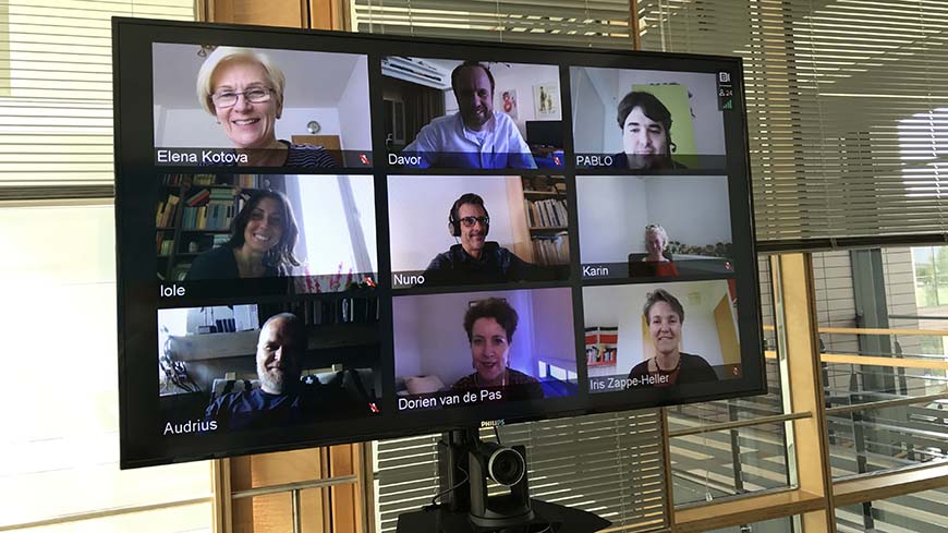 Reunión online de la Junta Directiva de Eurimages