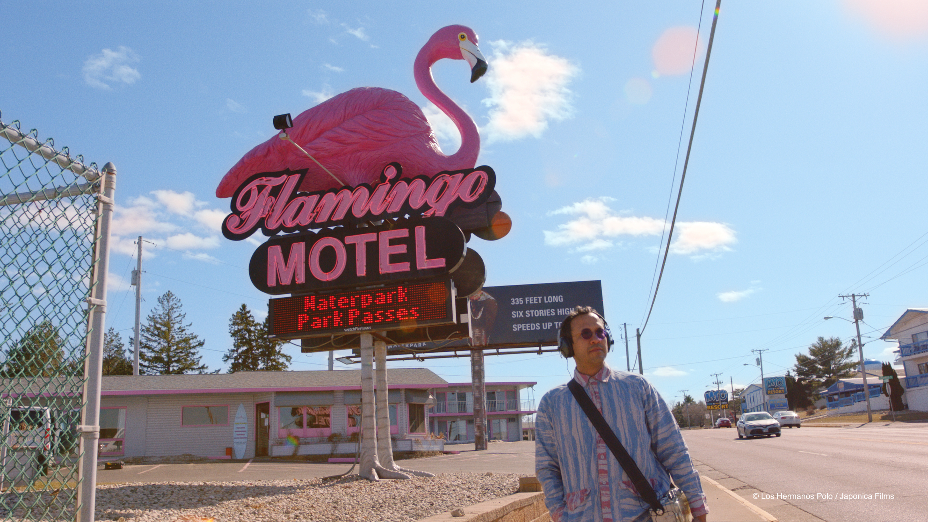 'The Mystery of the Pink Flamingo'