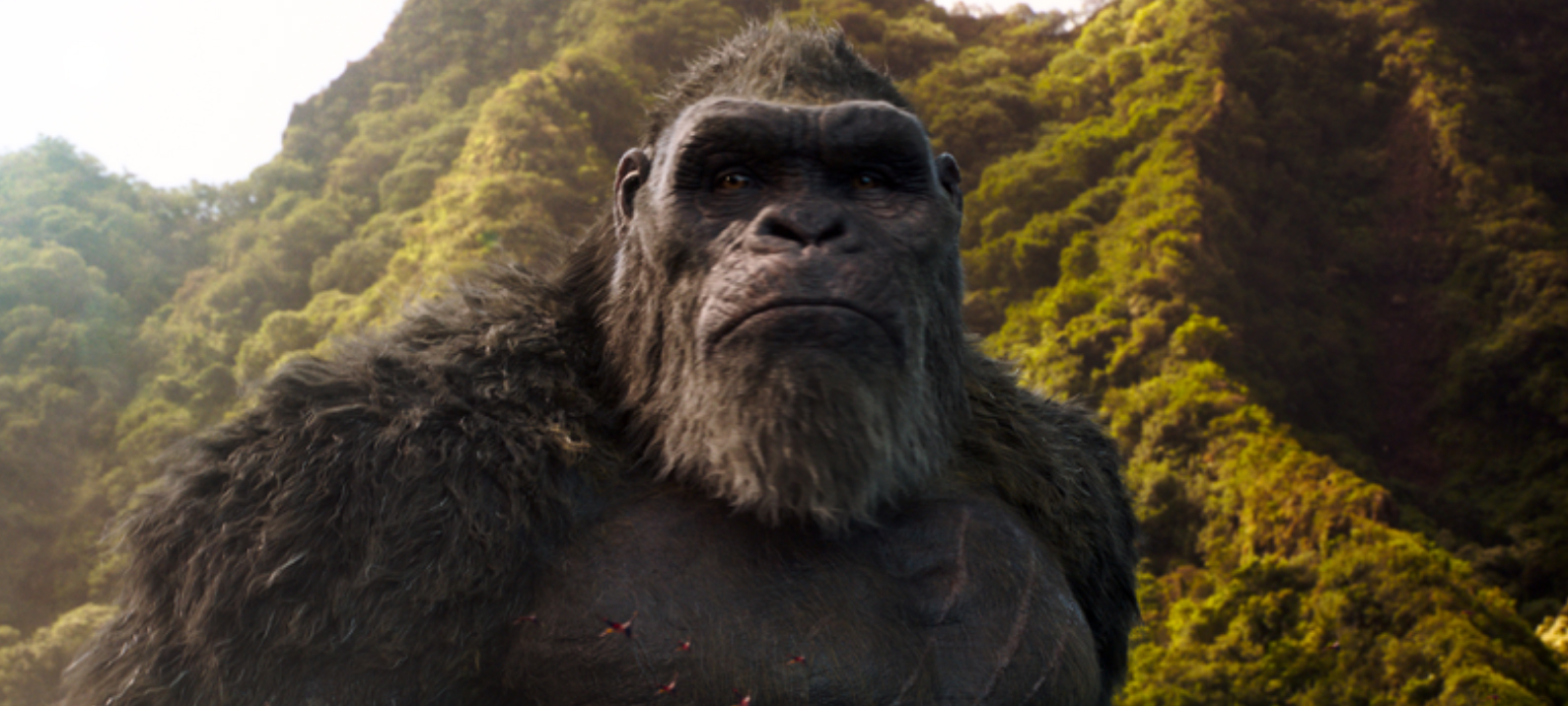 'Godzilla vs. Kong' (Warner Bros.)